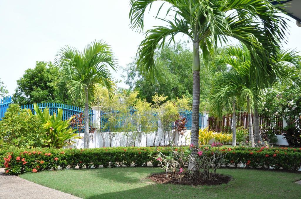 Olivia Resort Serviced Apartments And Bungalows Panglao Cameră foto